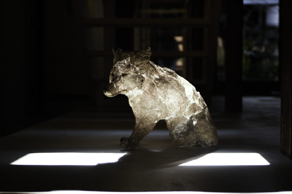 AMART at KYO AMAHARE,米津真理奈「 Liminal 」